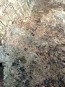 Tamilpaiyan07 online show from 03-08-26, 02:04