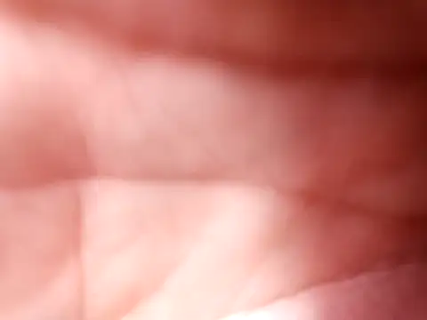 mellzinhacasada online show from 02-16-26, 04:58