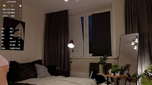 DiannMccarl online show from 02-15-26, 01:24