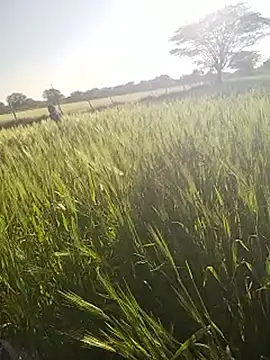 hornycouple20000 online show from 01-14-26, 11:05