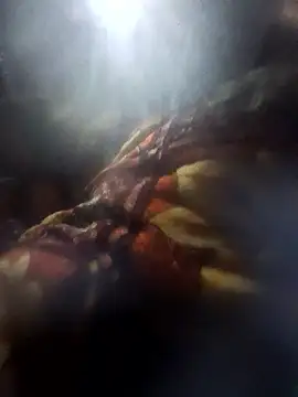 Couples9090 online show from 01-10-26, 03:58