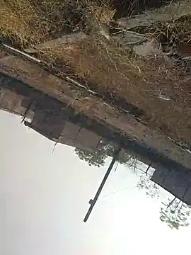 sexyboy 917 online show from 04-22-26, 03:20