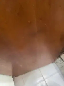 jeanramon01 online show from 03-20-26, 07:30