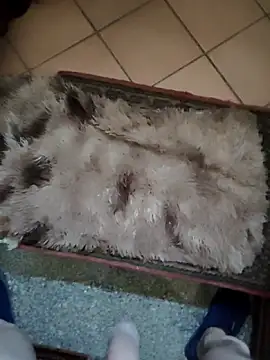 TAMI61 online show from 03-25-26, 02:45