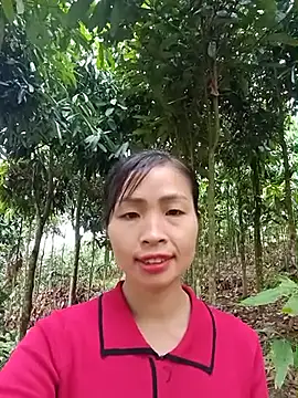 xiaogoal online show from 06-11-26, 03:15