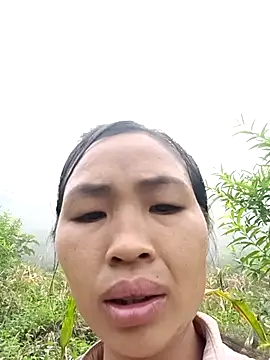 xiaogoal online show from 07-22-26, 02:36