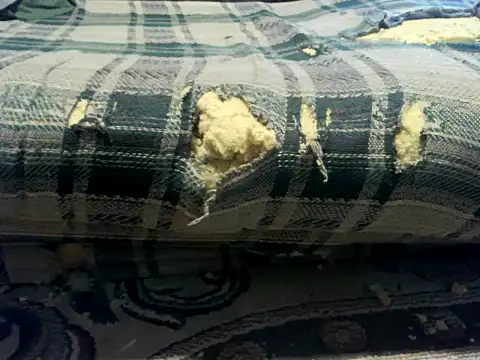 Snapshot of velumbra chatting on 06-20-26, 01:25 velumbra online show from 06-20-26, 01:25