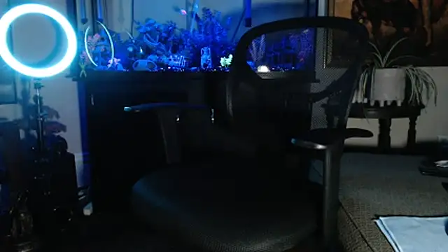 EspanolVato online show from 02-21-26, 09:43