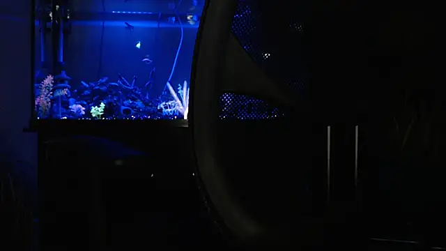 EspanolVato online show from 04-18-26, 09:24