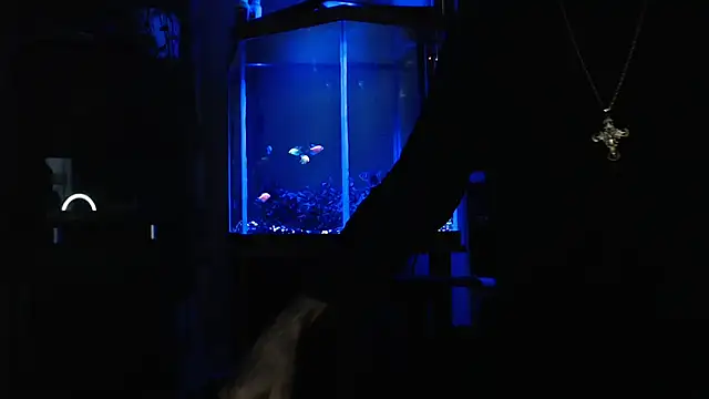 EspanolVato online show from 05-27-26, 10:12