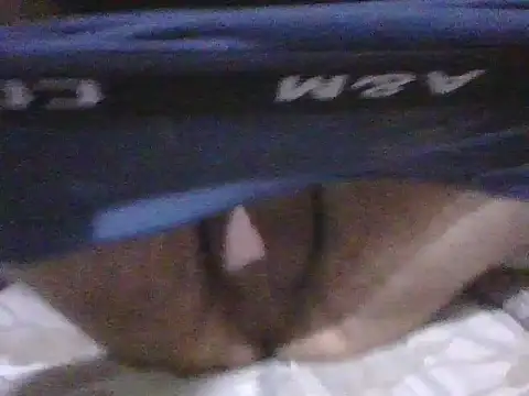 kemo2087 online show from 04-02-26, 10:18