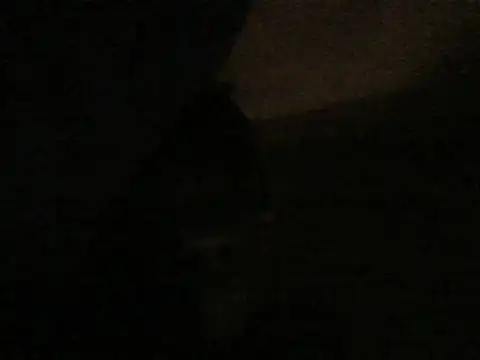 kwandero1234 online show from 01-09-26, 06:21