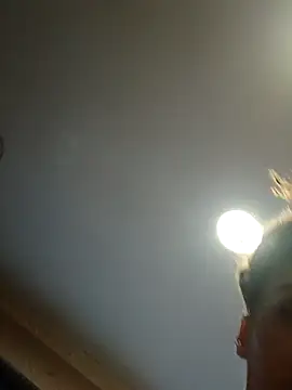 Snapshot of dear2002 chatting on 01-17-26, 06:18 dear2002 online show from 01-17-26, 06:18