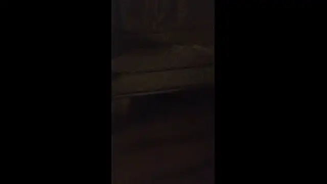 dongoralesko77 online show from 04-11-26, 03:00