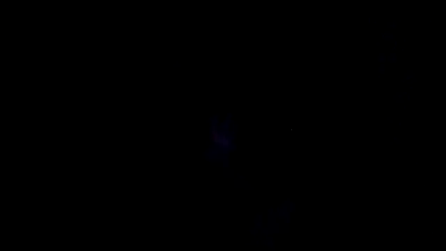 NeedyQueen online show from 03-14-26, 01:23