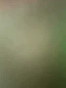 SassynNatty online show from 07-21-26, 06:43