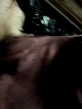 yu--yo online show from 03-21-26, 03:44