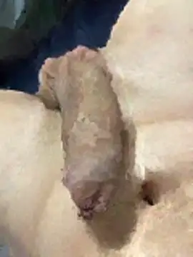 Snapshot of misteryboi chatting on 02-01-26, 12:20 misteryboi online show from 02-01-26, 12:20