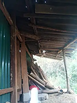 feli-00 online show from 01-10-26, 02:02