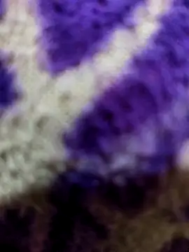 Snapshot of Gaonkadesiland chatting on 01-15-26, 06:22 Gaonkadesiland online show from 01-15-26, 06:22