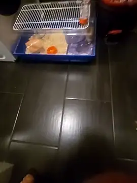 81czacha8107 online show from 03-27-26, 10:42