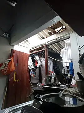 PatriciaGrajales online show from 03-15-26, 04:02