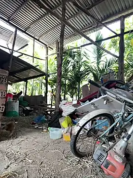 Ginny 2x online show from 01-18-26, 04:27