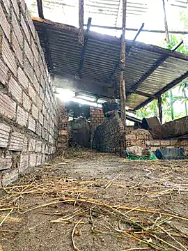 Ginny 2x online show from 02-15-26, 09:41