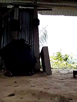 Ginny 2x online show from 03-16-26, 04:07