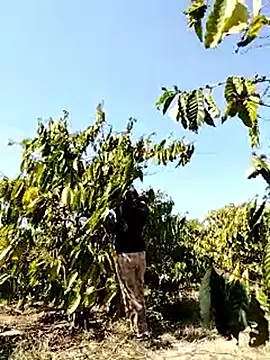 Ginny 2x online show from 03-22-26, 07:34