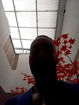 Dante Knox online show from 04-09-26, 11:48