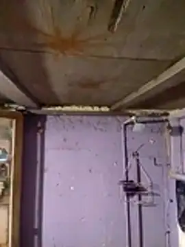 Guanatos13 online show from 02-02-26, 05:17