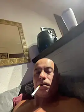 dogfrota online show from 01-11-26, 07:02