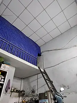 Famrita online show from 01-19-26, 01:31