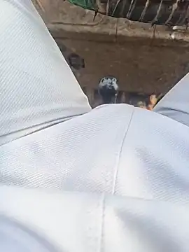 Hot BoyDick-Telugu online show from 01-15-26, 07:57