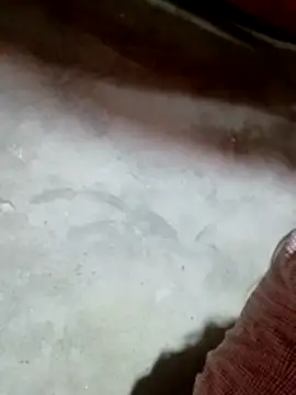 Gummiesu online show from 02-18-26, 05:53