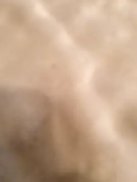 testmailx75 online show from 02-23-26, 09:23