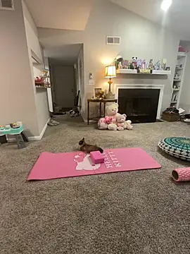 Pink mink21 online show from 02-03-26, 03:48