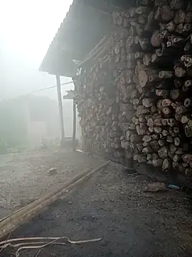 cutebobi online show from 03-23-26, 01:42