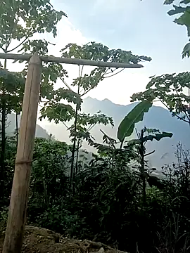 cutebobi online show from 03-30-26, 09:54