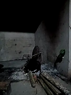 cutebobi online show from 04-04-26, 10:29