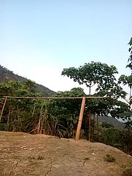 cutebobi online show from 04-11-26, 11:20