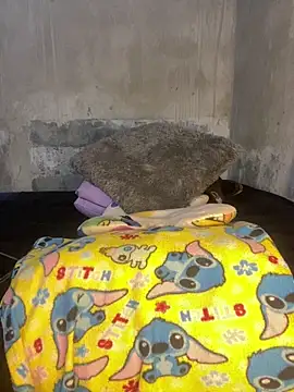 Iam AlexandraRey online show from 02-08-26, 04:49