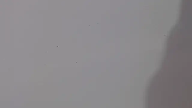 adara cute 69 online show from 02-05-26, 06:12