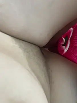 teubrinquedinho online show from 02-24-26, 06:00