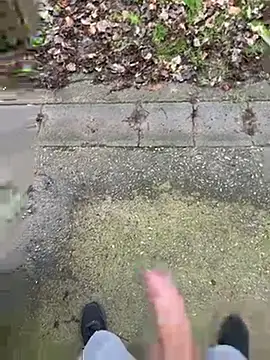 Snapshot of FrankdieSchwuchtel chatting on 03-11-26, 03:29 FrankdieSchwuchtel online show from 03-11-26, 03:29