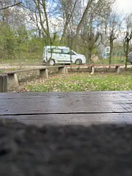 Snapshot of FrankdieSchwuchtel chatting on 03-21-26, 12:10 FrankdieSchwuchtel online show from 03-21-26, 12:10