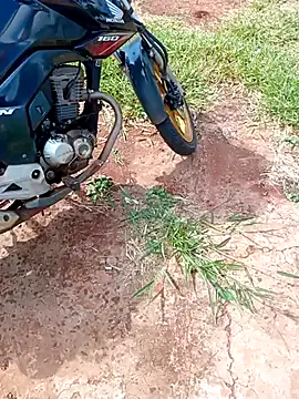 negrim10 online show from 02-10-26, 12:31