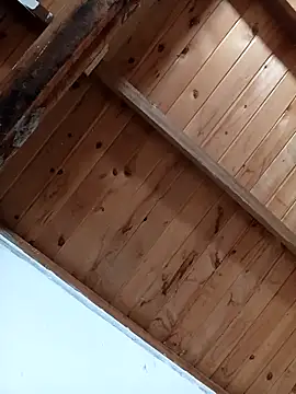 luna pinky online show from 03-01-26, 04:42