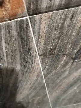 Bengal Tiger420 online show from 04-17-26, 06:33